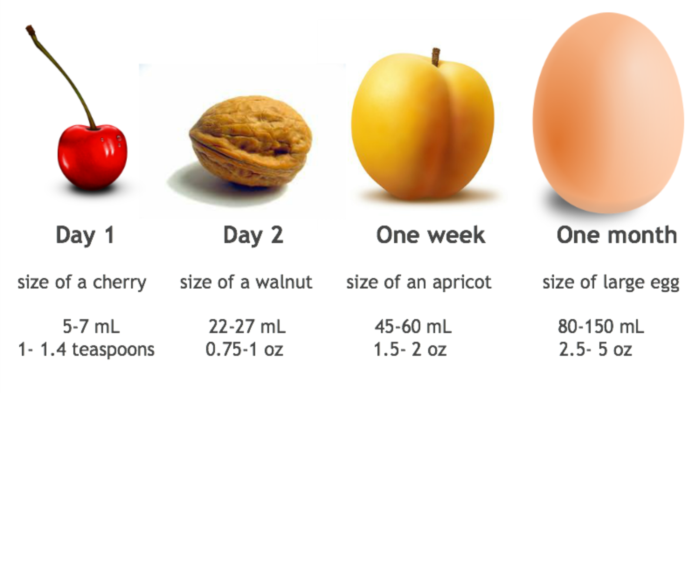 Day 1: size of a cherry, day 2: size of a walnut, one week: size of an apricot, one month: size of a large egg