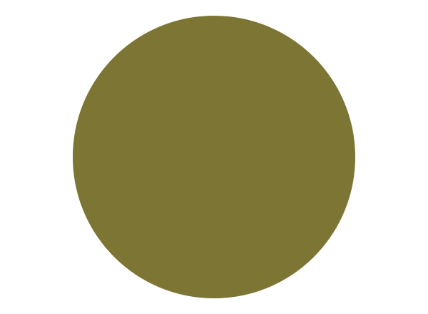Khaki colour