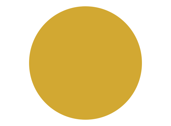 Mustard colour